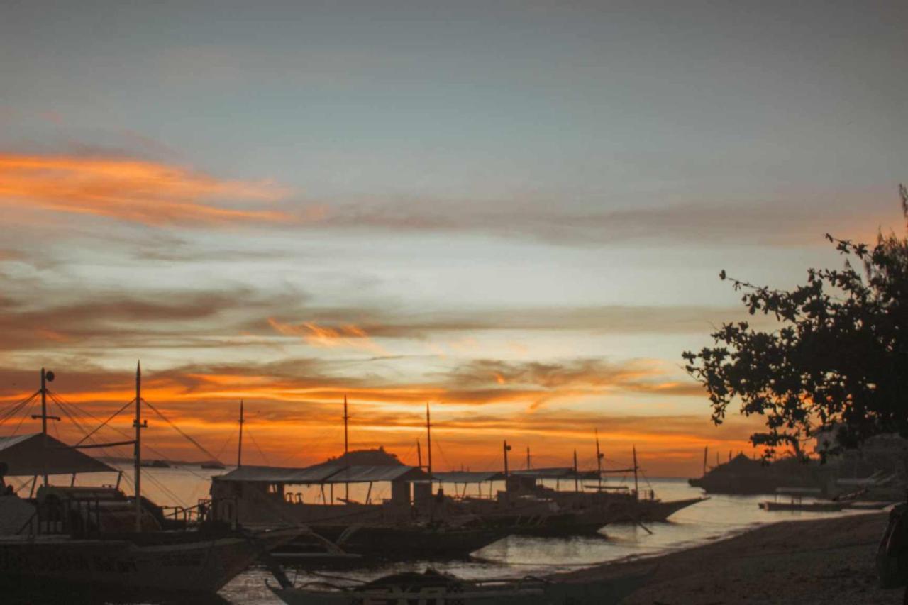 Blue Dolphin Hotel Malapascua Island ภายนอก รูปภาพ